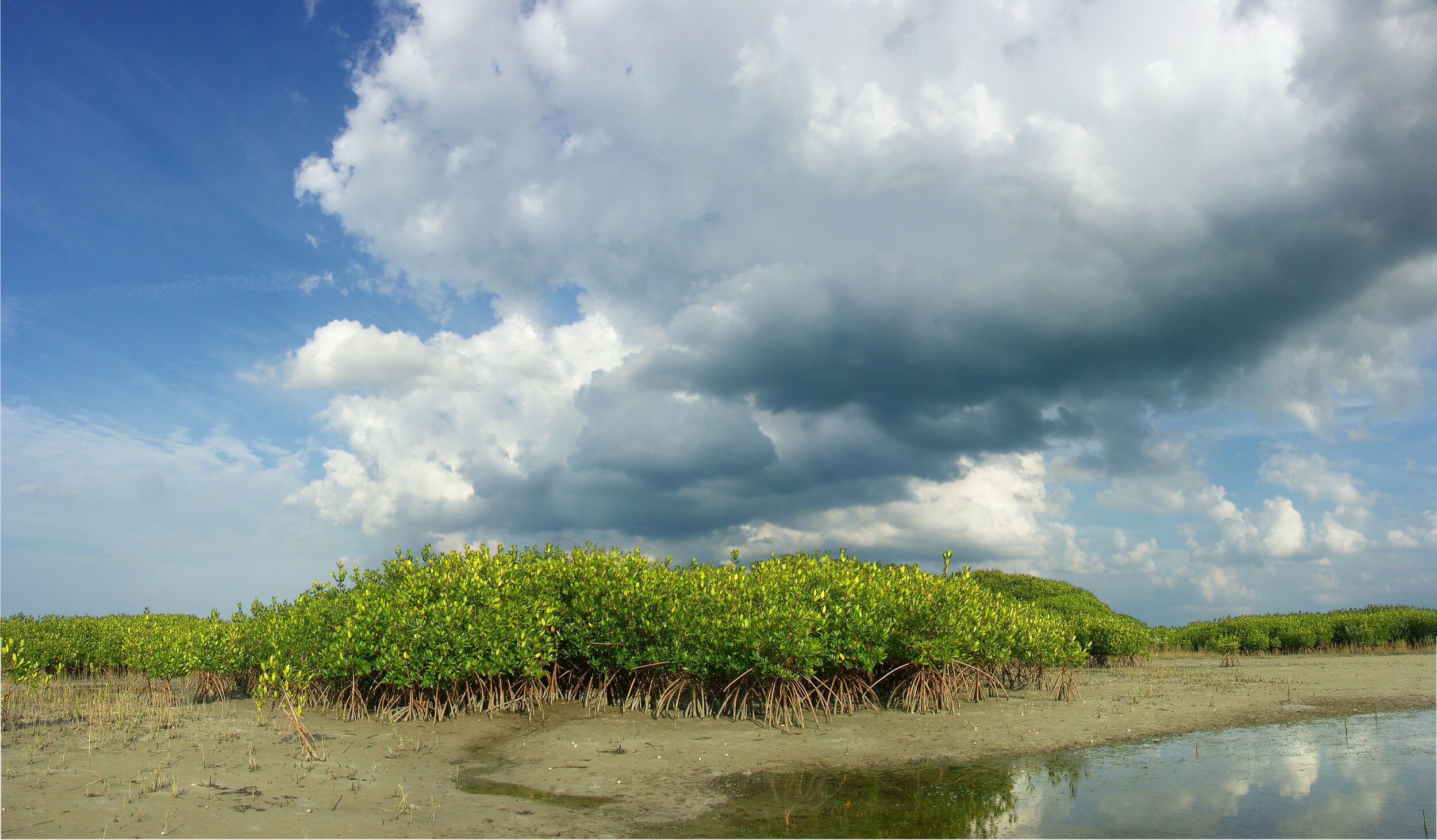 Click to See Next Image